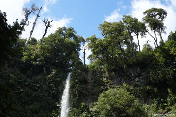 51mm, ƒ/14, 1/100s, ISO200 - 21.02.2024 - Salto de la Princesa, Chile. ▶ La leyenda del Salto de la Princesa, en Curacautín, cuenta la historia de Rayén, una princesa mapuche, y Nahuelcura, un joven al que amaba. Su amor fue rechazado por el padre de Rayén, un cacique que quería casarla con otro hombre. Para evitar este matrimonio forzado y estar juntos, Rayén y Nahuelcura saltaron al vacío desde la cascada, dando origen a la leyenda y al nombre del lugar. © Fabián Iglesias.